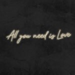 warm whiteAll you need is Love - LED Neon Sign
